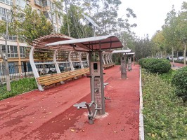 高青縣城區青城路、中心路實現十五分鍾健身圈